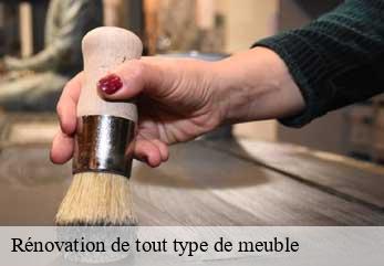 Rénovation de tout type de meuble 67 Bas-Rhin  Tapissier Décorateur