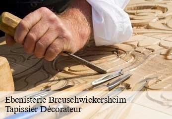 Ebenisterie  breuschwickersheim-67112 Tapissier Décorateur