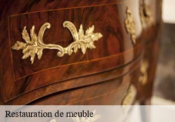 Restauration de meuble  neuwiller-les-saverne-67330 Tapissier Décorateur