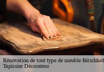 Rénovation de tout type de meuble  bitschhoffen-67350 Tapissier Décorateur